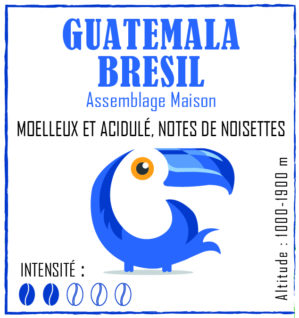 CAFE MOULU GUATEMALA/BRESIL 250G LA BRULERIE DES RECOLLETS 